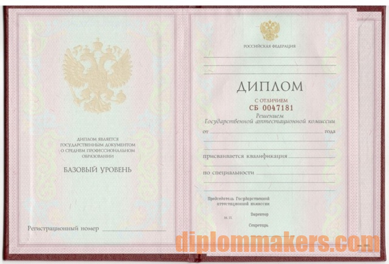 Купить диплом интернатуры ваш шаг к успеху